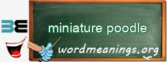 WordMeaning blackboard for miniature poodle